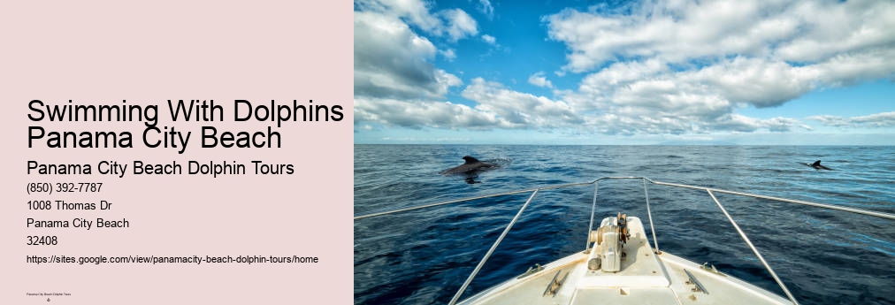 Snorkeling Panama City Beach