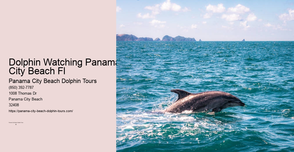 Panama City Beach Florida Dolphin Tours