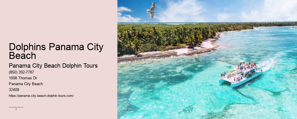 Dolphin Boat Ride Panama City Beach