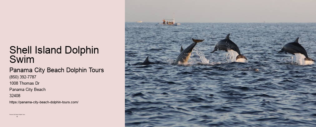 Panama City Beach Dolphin Snorkel