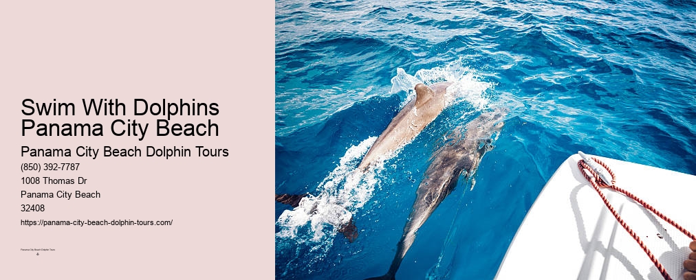 Dolphin Boat Ride Panama City Beach