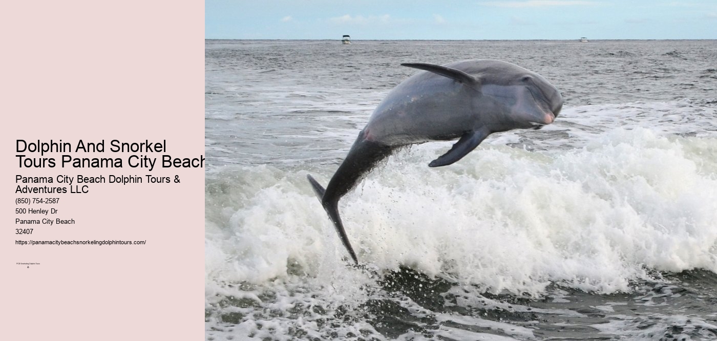 Dolphin And Snorkel Tours Panama City Beach