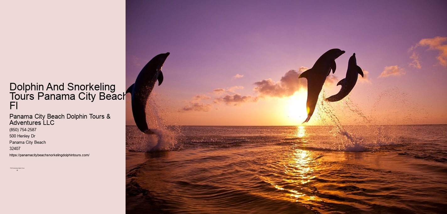 Dolphin And Snorkeling Tours Panama City Beach Fl