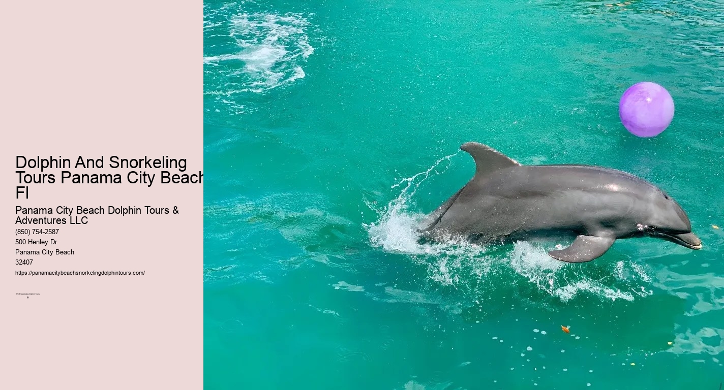Panama City Beach Dolphin Snorkeling