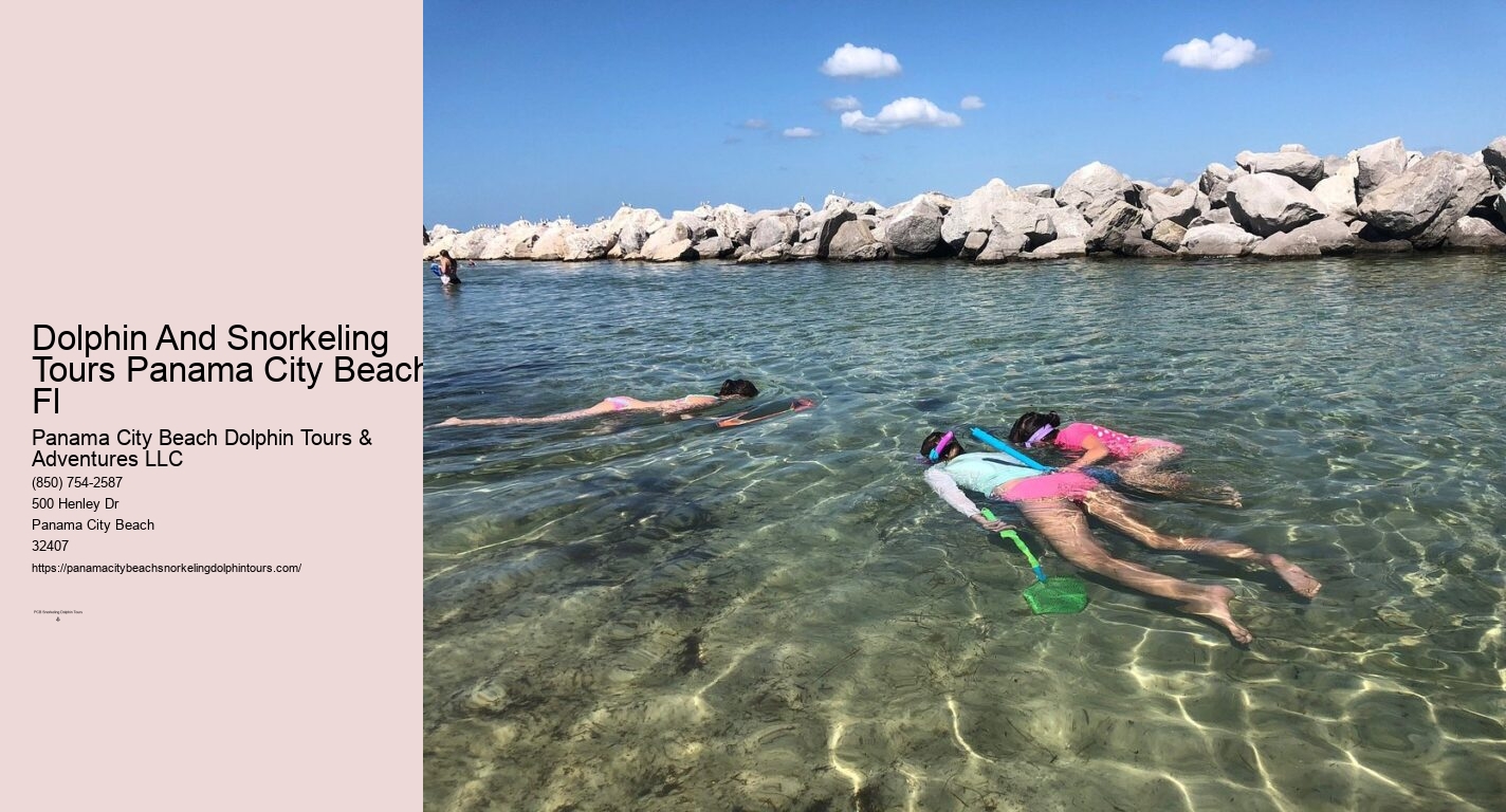 Panama City Beach Dolphin Snorkel