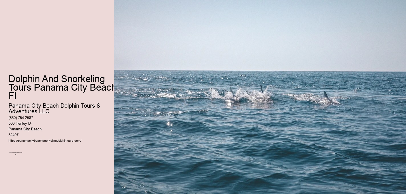 Dolphin And Snorkeling Tours Panama City Beach Florida