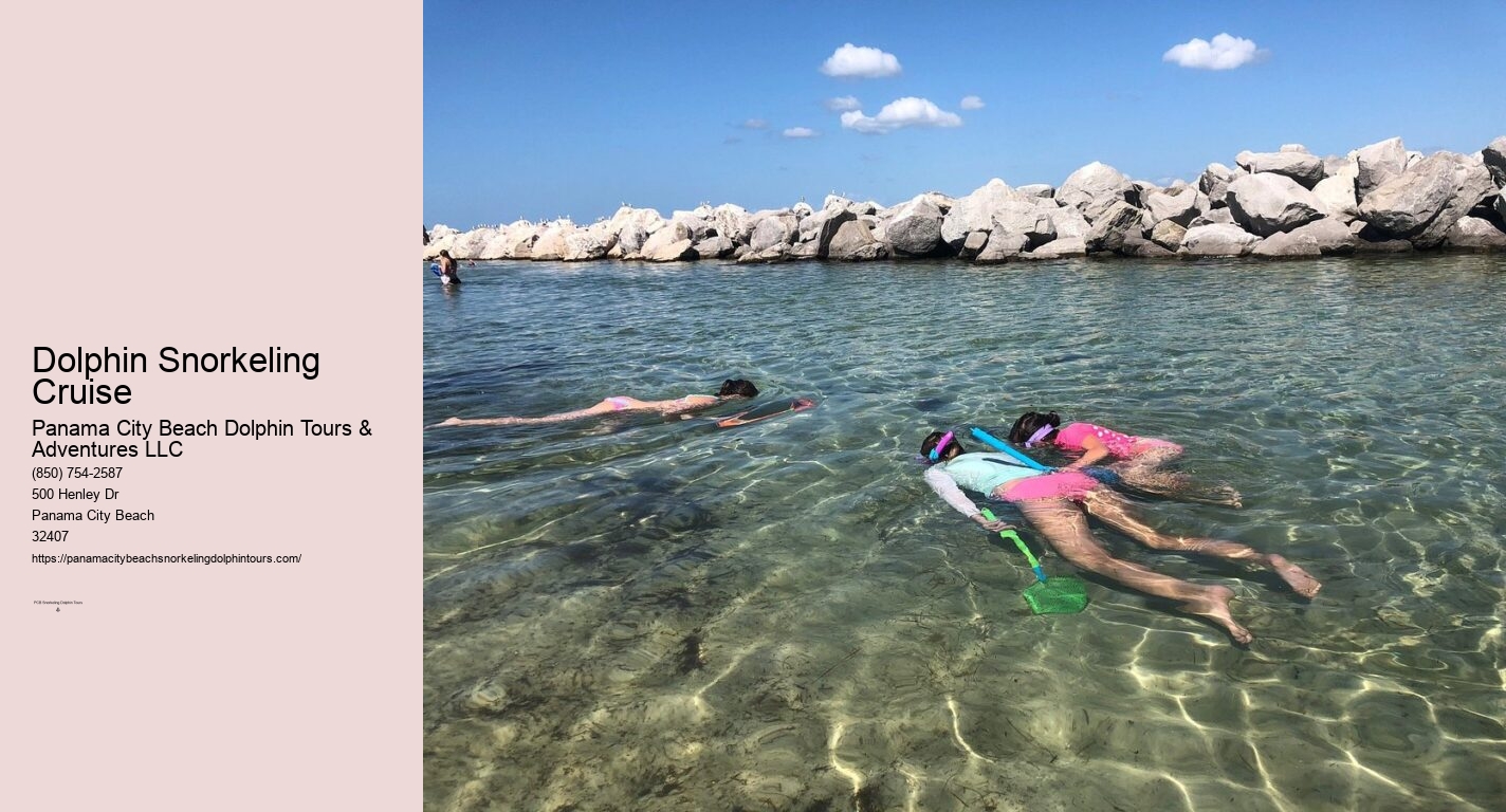 Dolphin And Snorkel Tours Panama City Beach