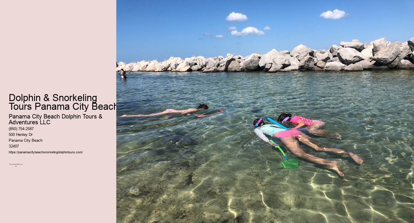 Dolphin Snorkeling Panama City Beach