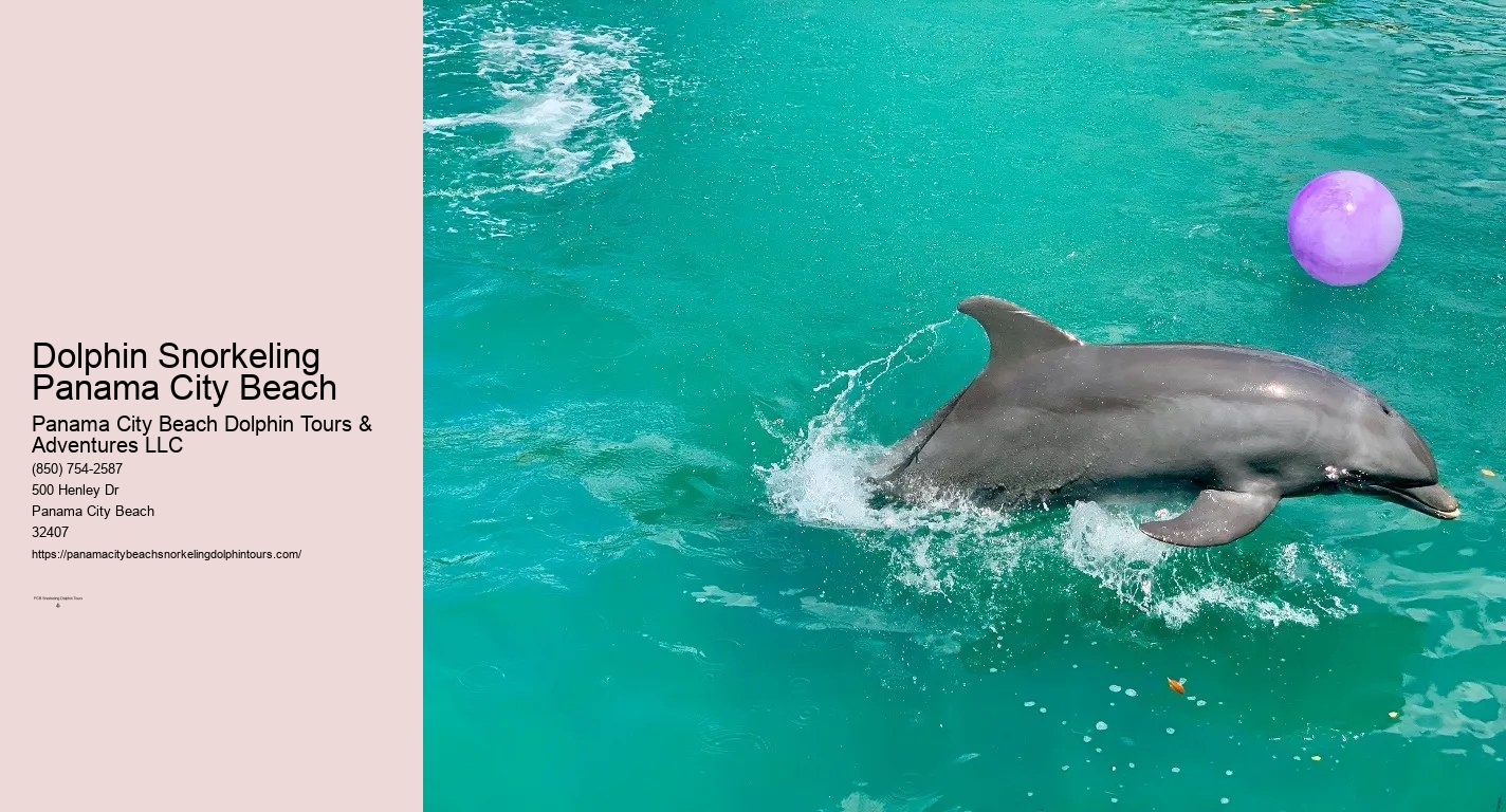 Dolphin & Snorkeling Tours Panama City Beach