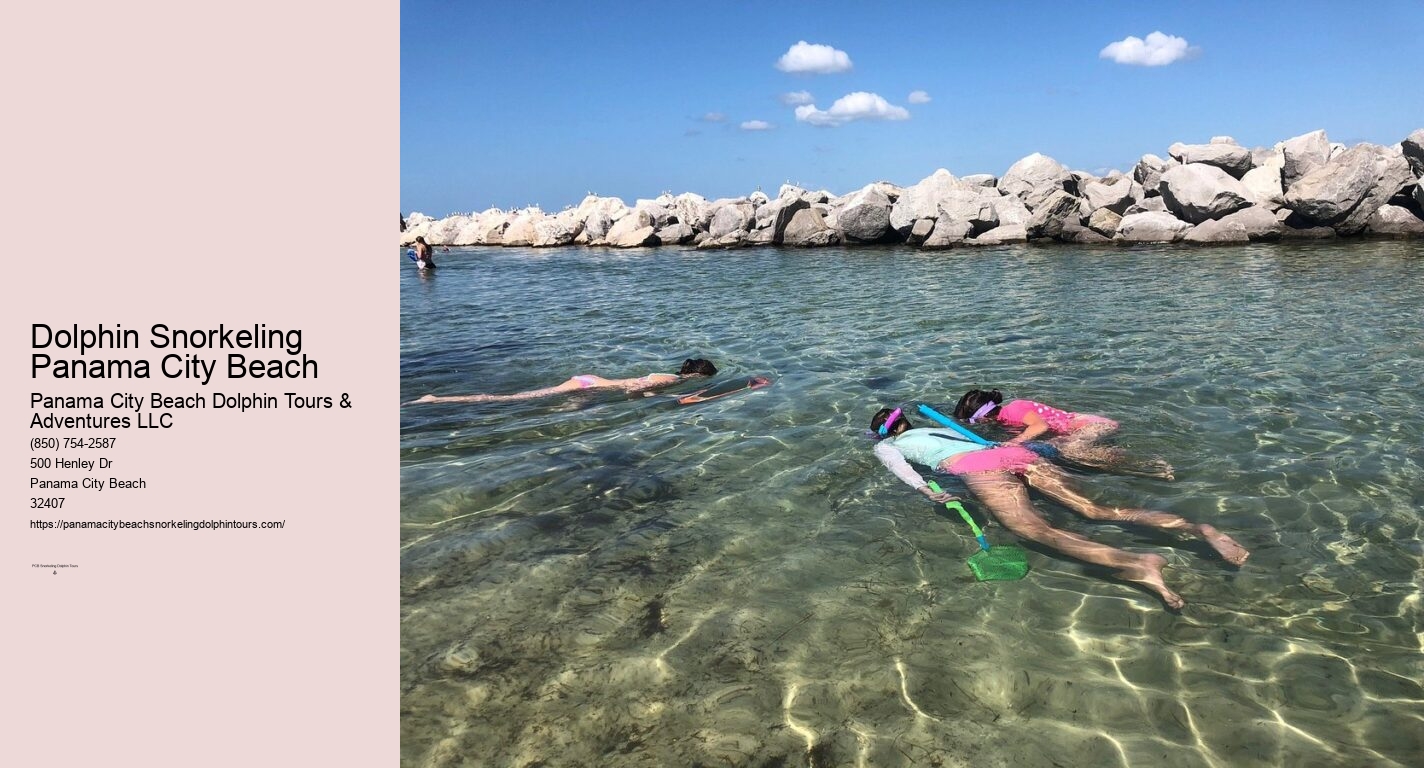 Panama City Beach Dolphin And Snorkel Tours