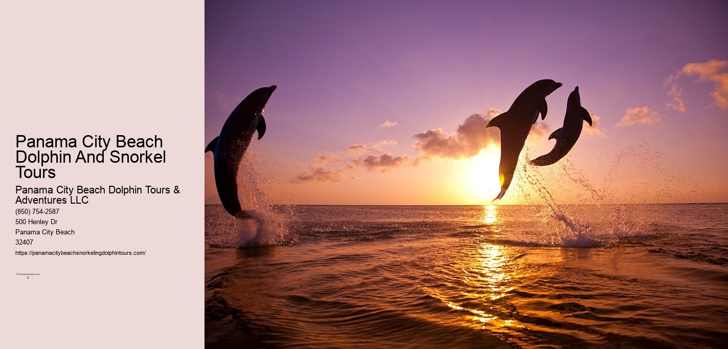 Dolphin Snorkeling Cruise