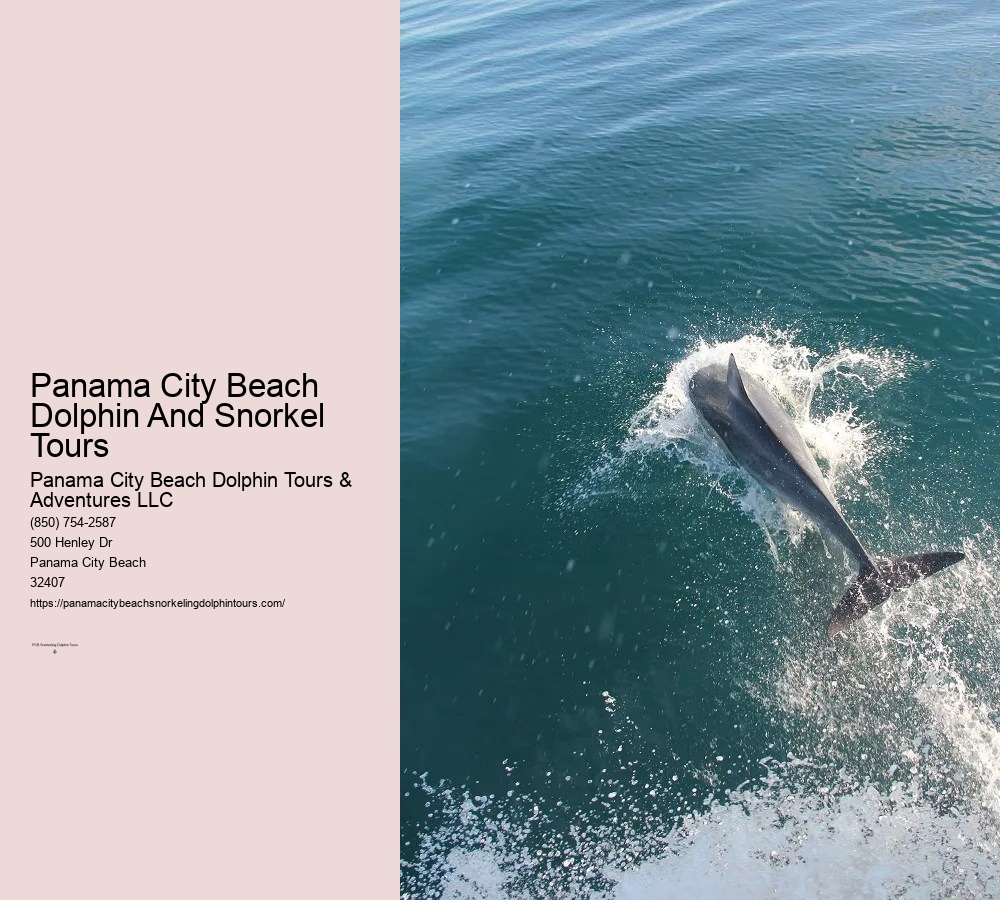 Dolphin & Snorkeling Tours Panama City Beach