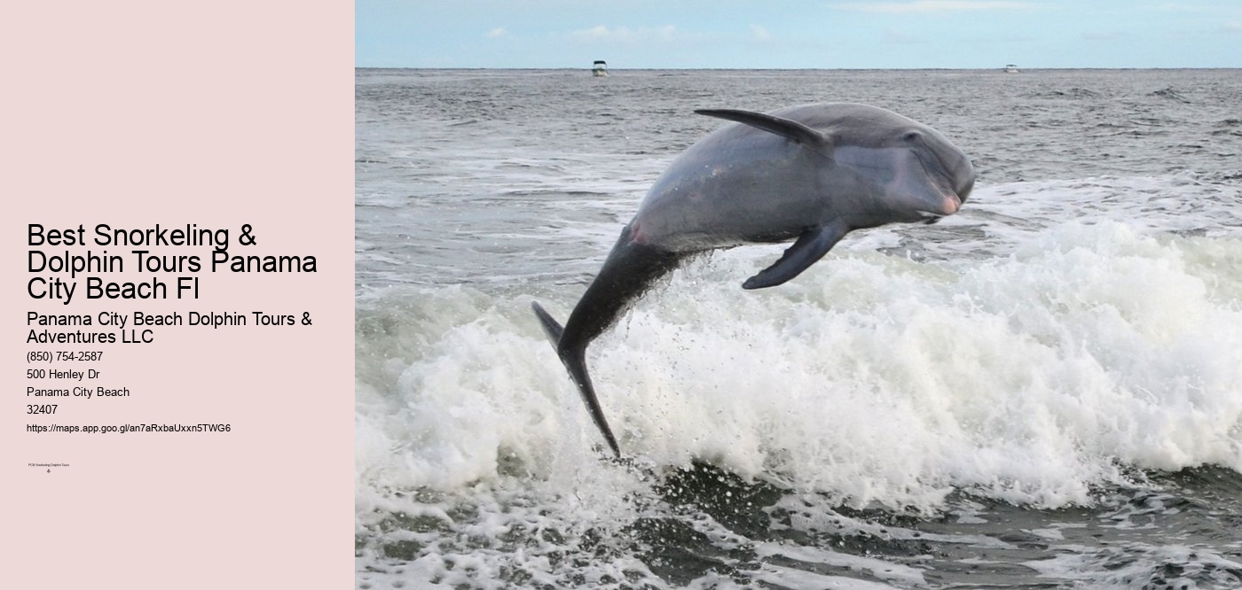 Best Snorkeling & Dolphin Tours Panama City Beach Fl