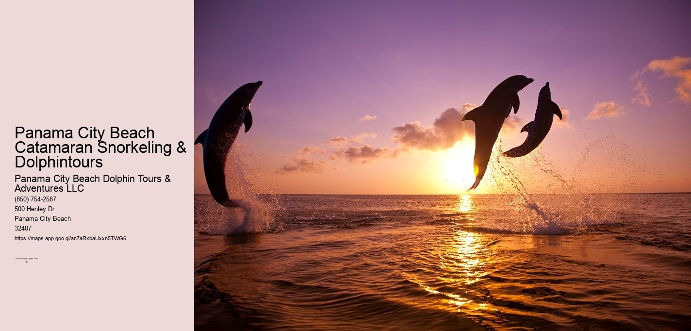 Panama City Beach Catamaran Snorkeling & Dolphintours