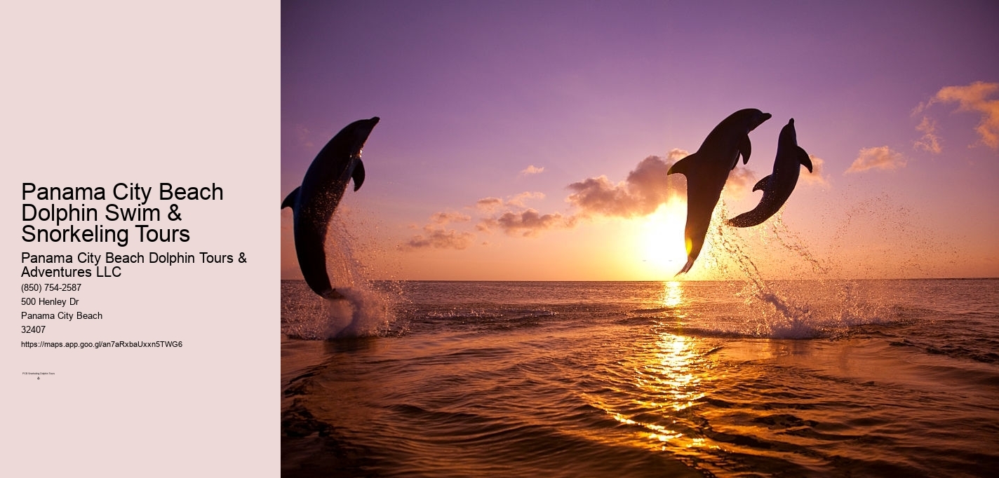 Panama City Beach Dolphin Swim & Snorkeling Tours