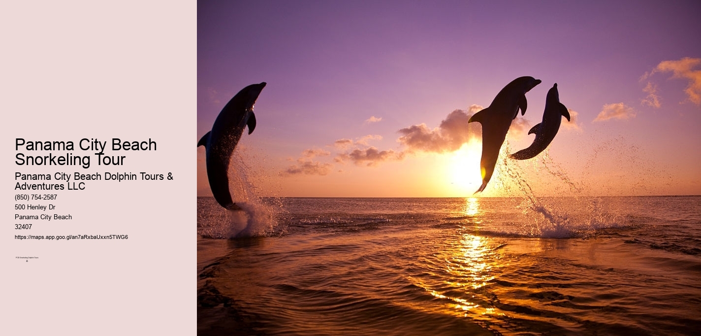 Panama City Beach Snorkeling Tour