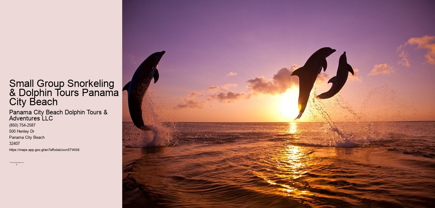 Small Group Snorkeling & Dolphin Tours Panama City Beach