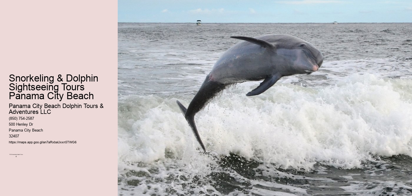 Snorkeling & Dolphin Sightseeing Tours Panama City Beach