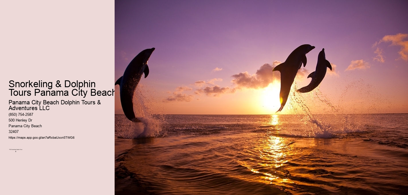 Snorkeling & Dolphin Tours Panama City Beach