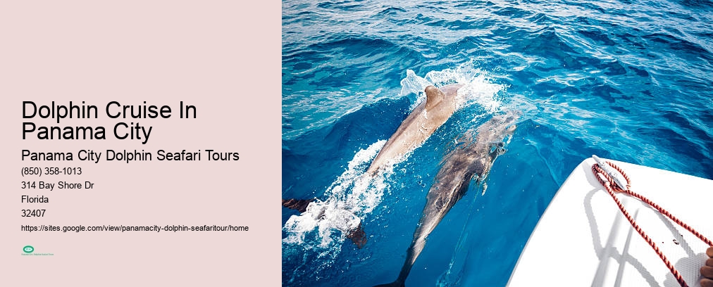Dolphin Cruise In Panama City