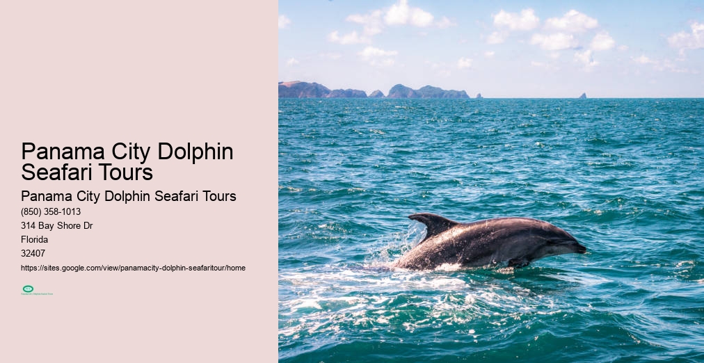 Dolphin Seafaris