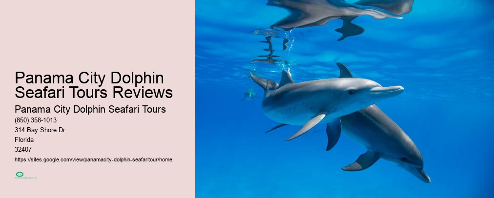 Panama City Dolphin Seafari Tours Reviews