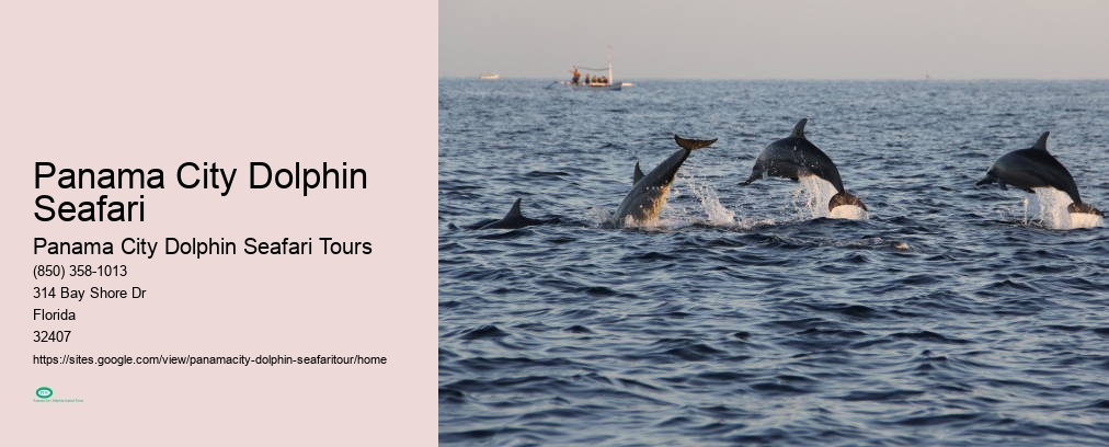 Panama City Dolphin Seafari Tours Reviews