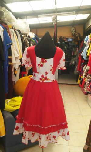 Huasa China 2 Venta alofiesta