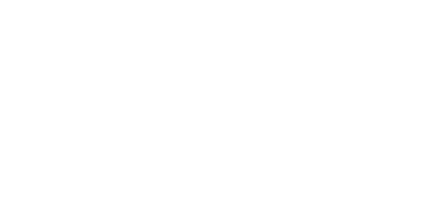 logo-alt