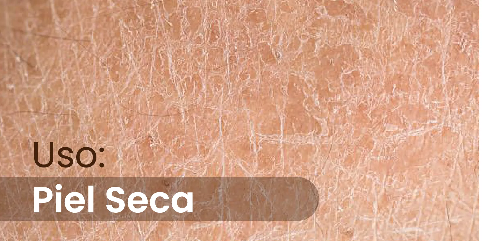 Uso: Piel Seca