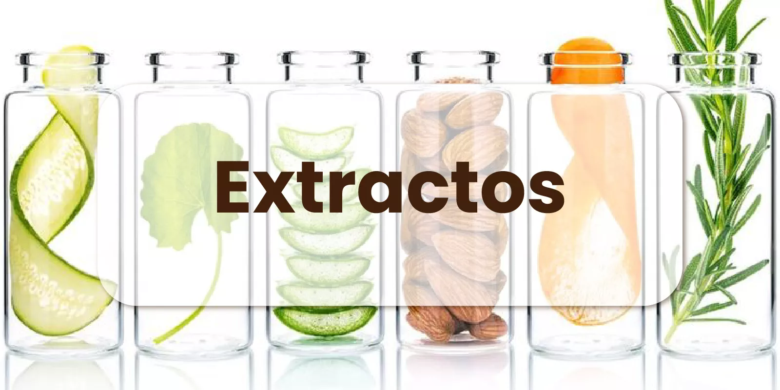 Descargable: Usos y Beneficios Extractos Hg