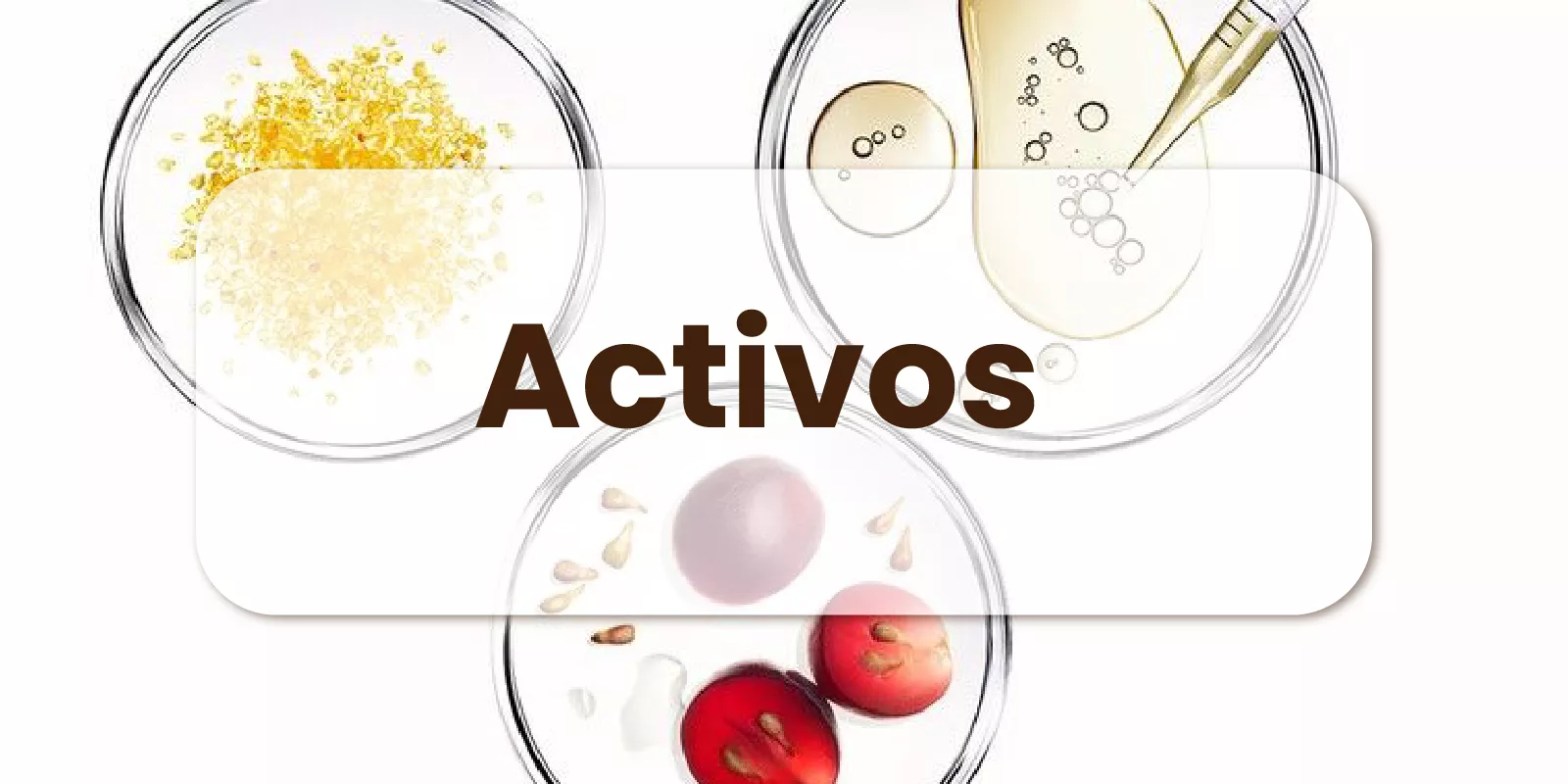 Descargable: Usos y Beneficios Activos Cosméticos