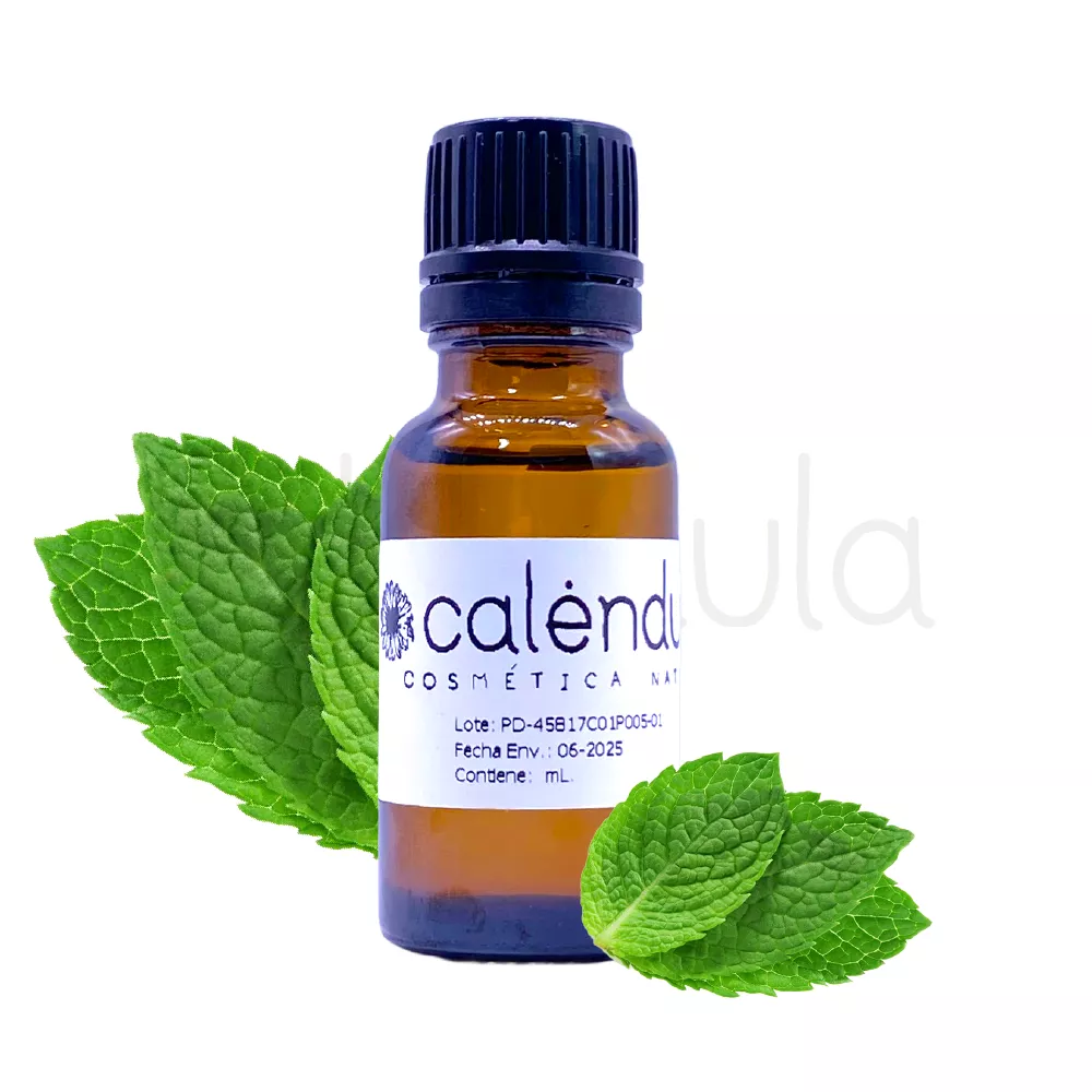 Aroma Menta 