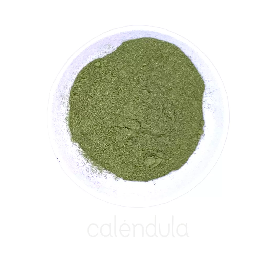 Moringa En Polvo 100g 