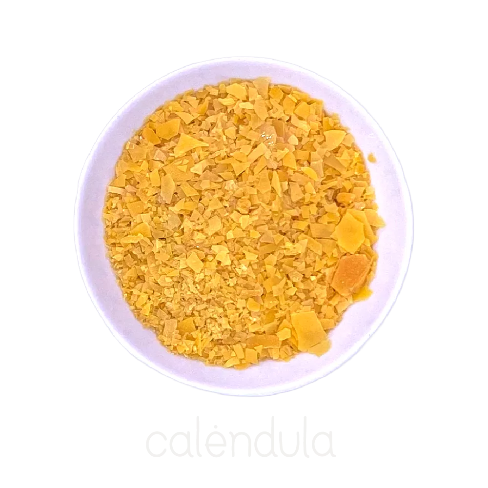 Cera Carnauba 100g 