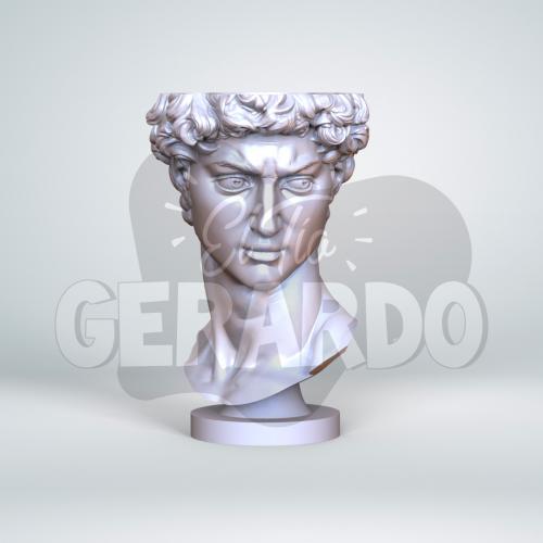 Macetero David 