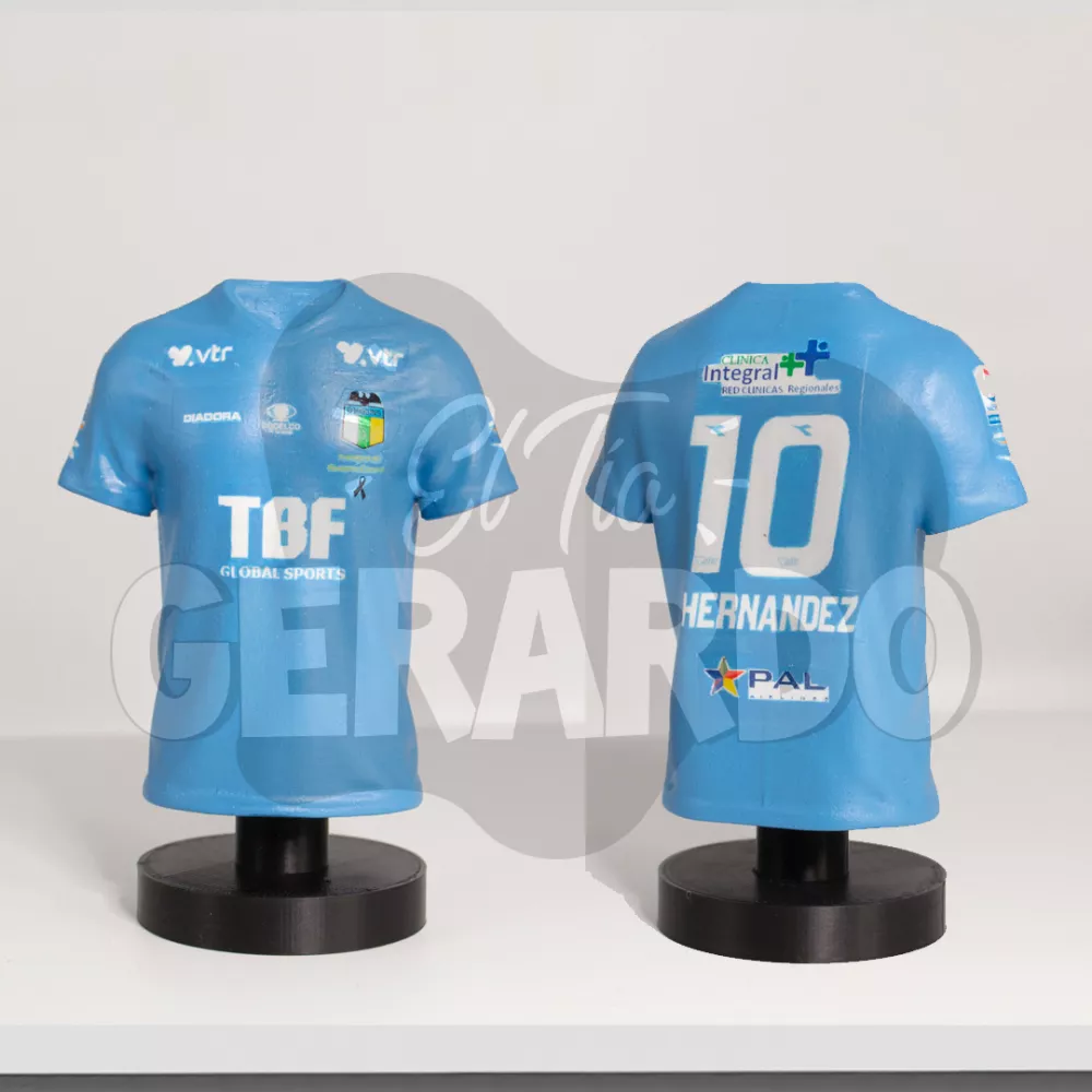 Camiseta Personalizada 