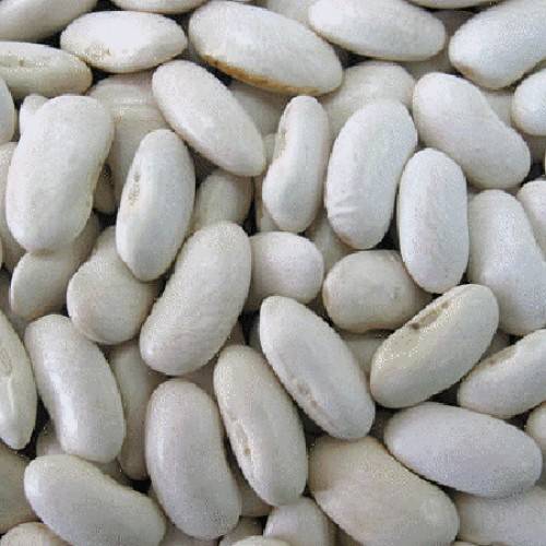 Porotos Burro 500g 