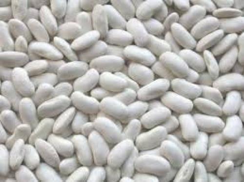 Porotos Blanco 500g 