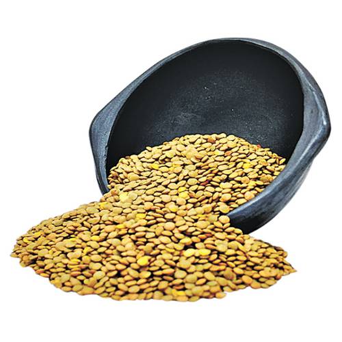 Lentejas 500gr. 
