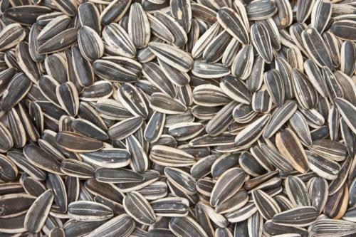 Maravilla Con Cascara Natural 500gr. 