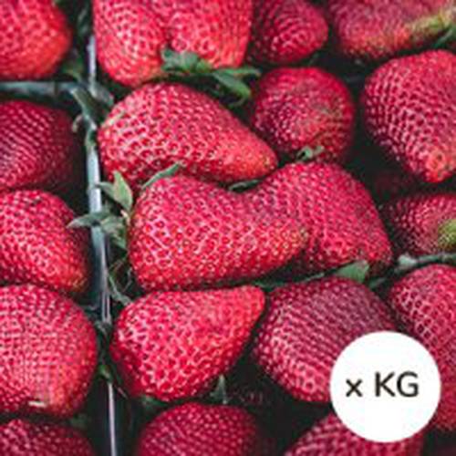 Frutilla Iqf Cong.1 Kg guallarauco