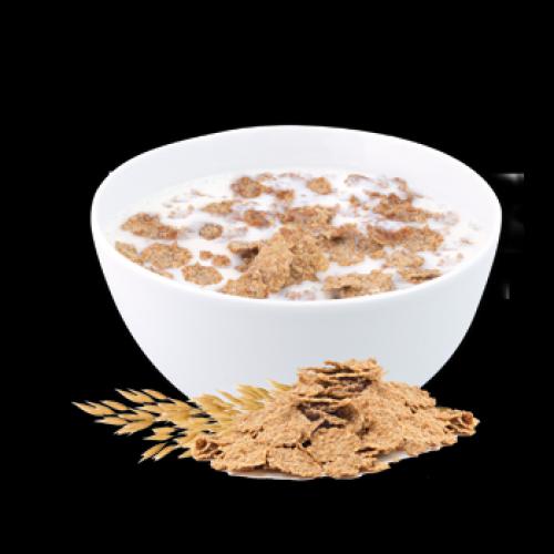 Cereal Fitness 400g 