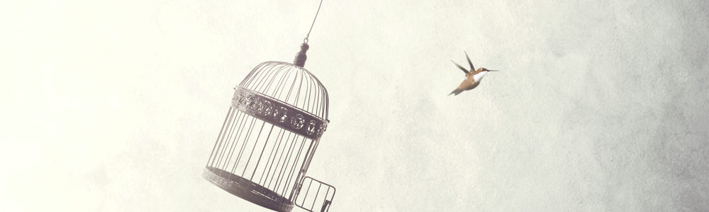 What Does Freedom Mean for You?