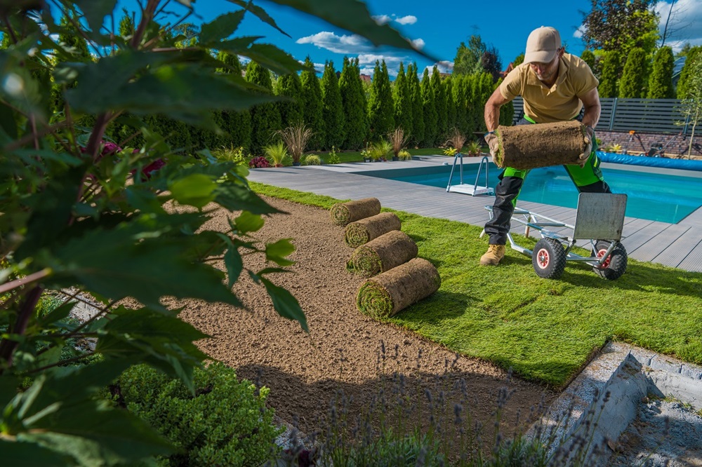 Lawn Mowing