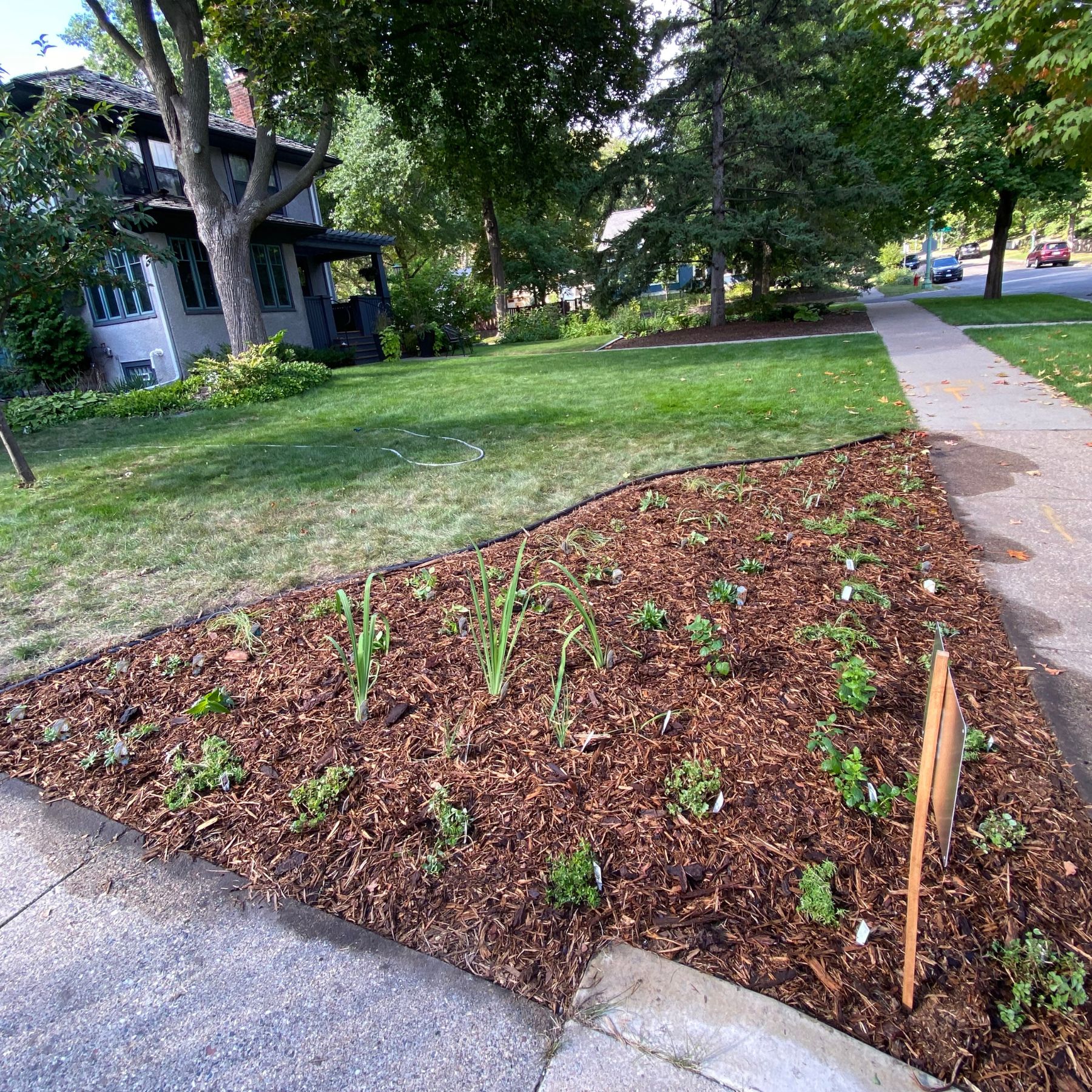 Becks launch City Prairie, planting native plants to help fight climate