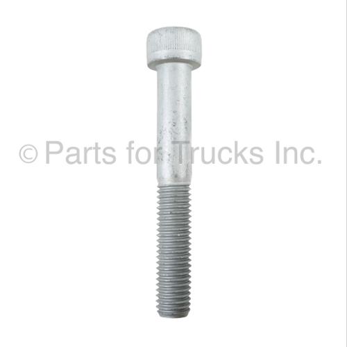 Screw
