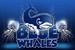 Blue Whales - Dive Bar | Live Music Venue in French Riviera.