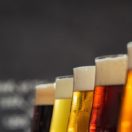 how to start a brewery