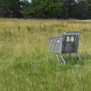 Abandoned Cart